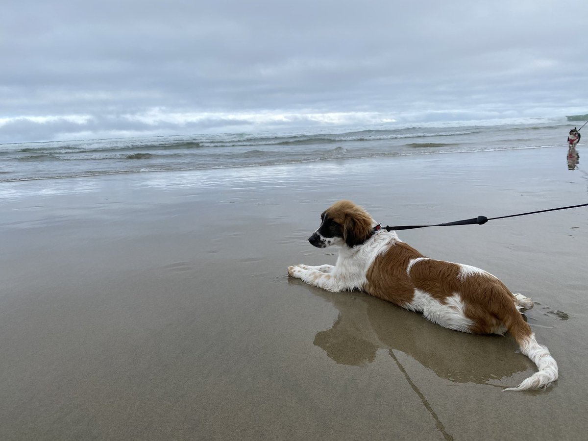 Michelle Dern, MD tweet media