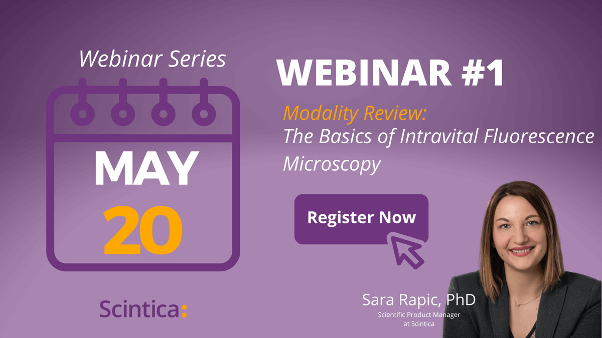 ScinticaInst's tweet photo. Join us to the first of a 4-part #webinars series introducing Scintica’s newly formed relationship with #IVIM Technology and their IntraVital Microscopy platform #IVM).
https://t.co/BAnUizsLTu
#preclinicalresearch https://t.co/P6E4ThMI5r