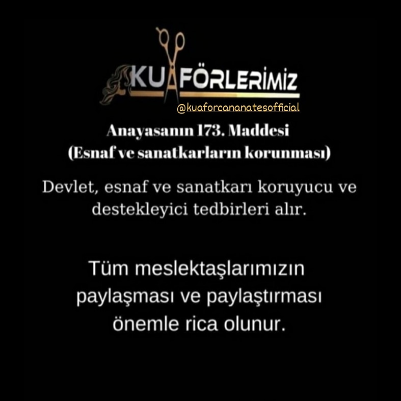 Anayasanın 173. Maddesi 
(Esnaf ve sanatkarların korunması)
Devlet, esnaf ve sanatkarı koruyucu ve destekleyici tedbirleri alır.