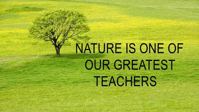 EXPLOREGreatLakes 🌊 tweet media