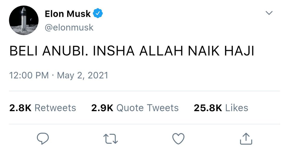 microcok's tweet photo. @elonmusk The GOD DOG @AnubiCoin say hello sir #AnubiArmy #Anubi #anubicoin #ElonMusk https://t.co/oEjfmNRn8a
