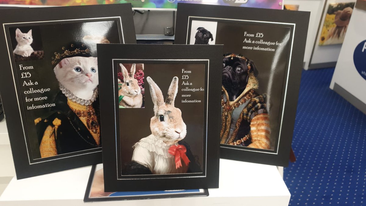 maxspielmann's tweet image. Our Royal 👑 Pet Portraits are going down a storm! Bring any photo in of your pet and let us do the rest!!*

*selected stores only