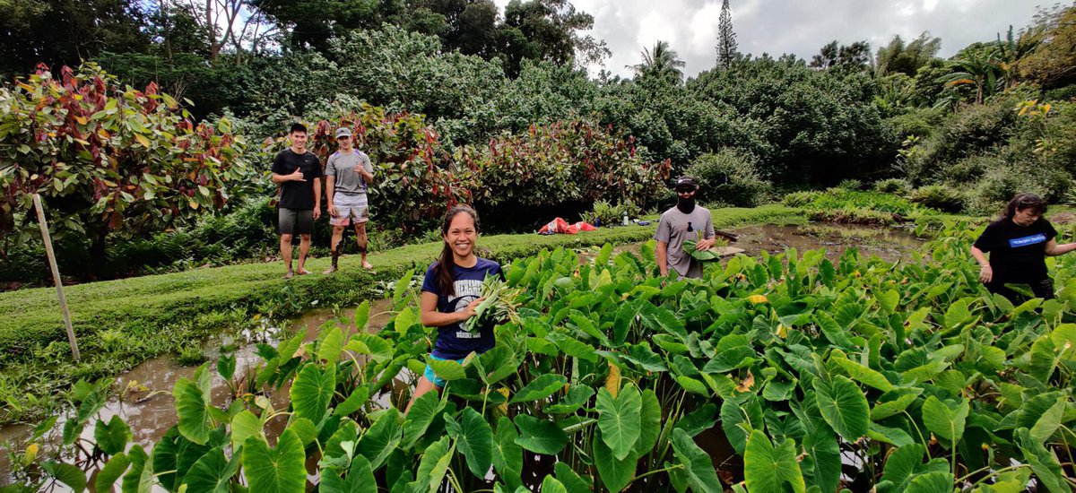 honuascholars's tweet photo. RSVP TODAY: https://t.co/mu7mDNvpGL
!!! PANELIST SPOTLIGHT !!!
@MavericAbella is a JABSOM medical student. She has researched radiation impacts in the Marshall Islands from nuclear testing.
#stempanel #honuascholars #environmentalscience
@AISES @sacnas @KSNews https://t.co/VROrAwxrmq
