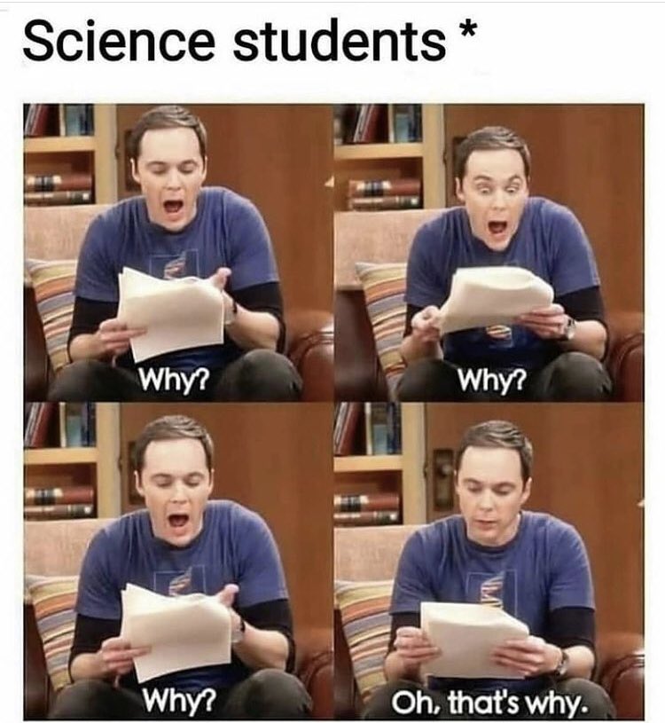 Leps_Moloto's tweet photo. So this is true 🤣
#ujsos #foryou #engineering https://t.co/jTZpZdhir3