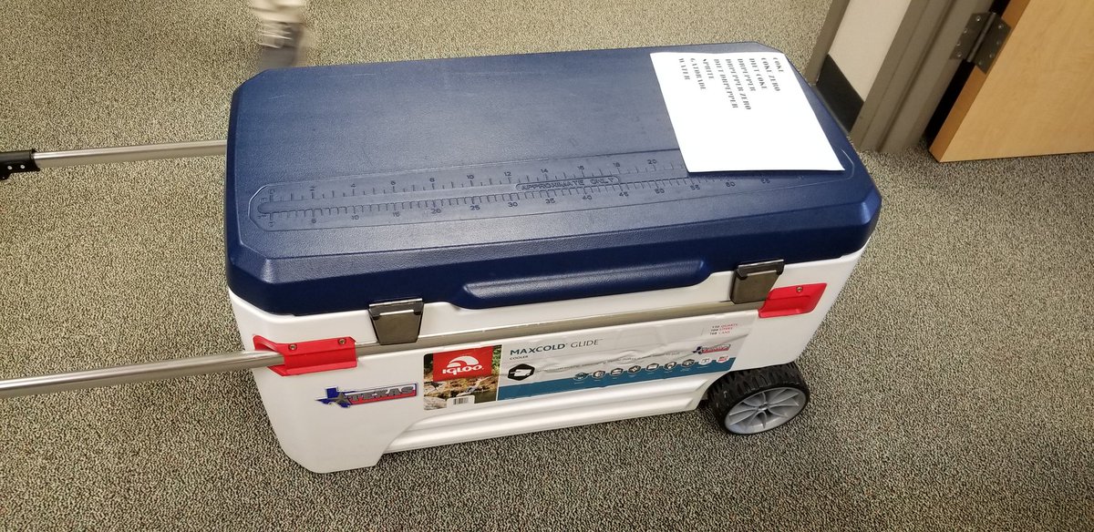 TISDWWJHS's tweet photo. Happy Teacher Appreciation Week!
The Snack and Drink Wagon made stops to all of our teachers today as a small token of our gratitude!
More to come the rest of the week! Thank you teachers!
#DestinationExcellence #WWJHS #wildcats https://t.co/GQTGqnJ1PK