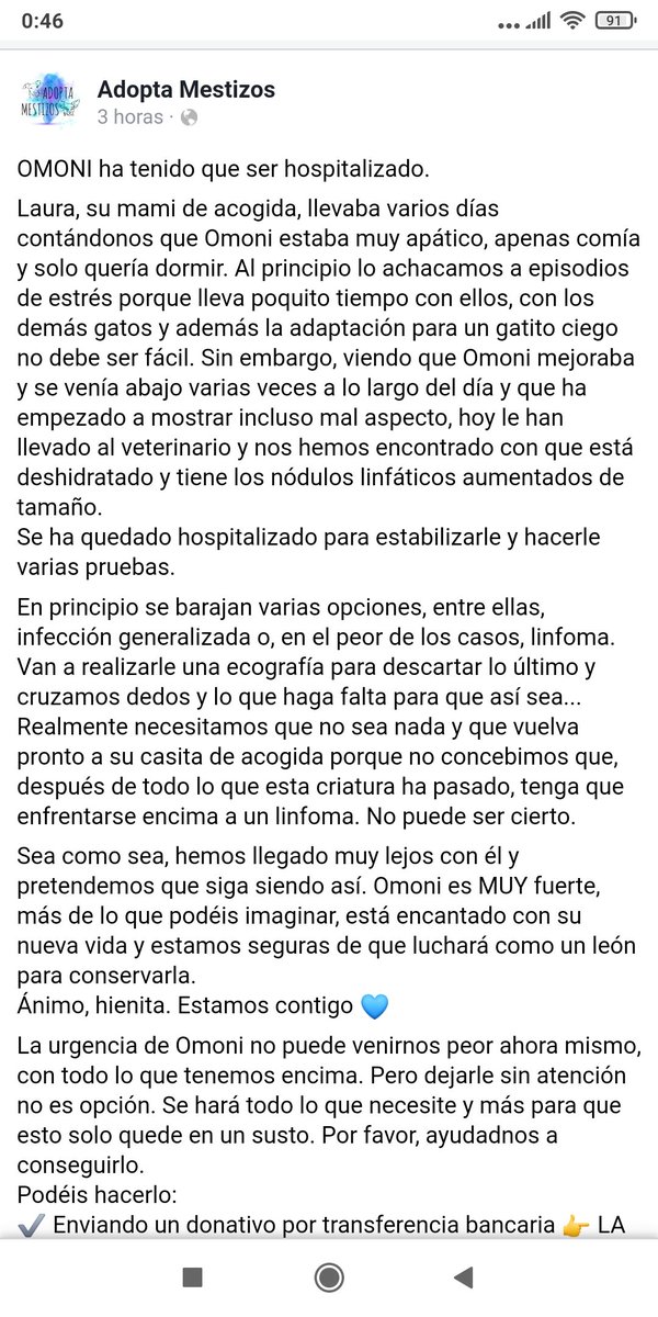 PandoraThalassa's tweet photo. Actualización! Mandadle mucha fuerza y energía a #Omoni!! Está pachucho y le han ingresado! https://t.co/V1Ha6RxamD