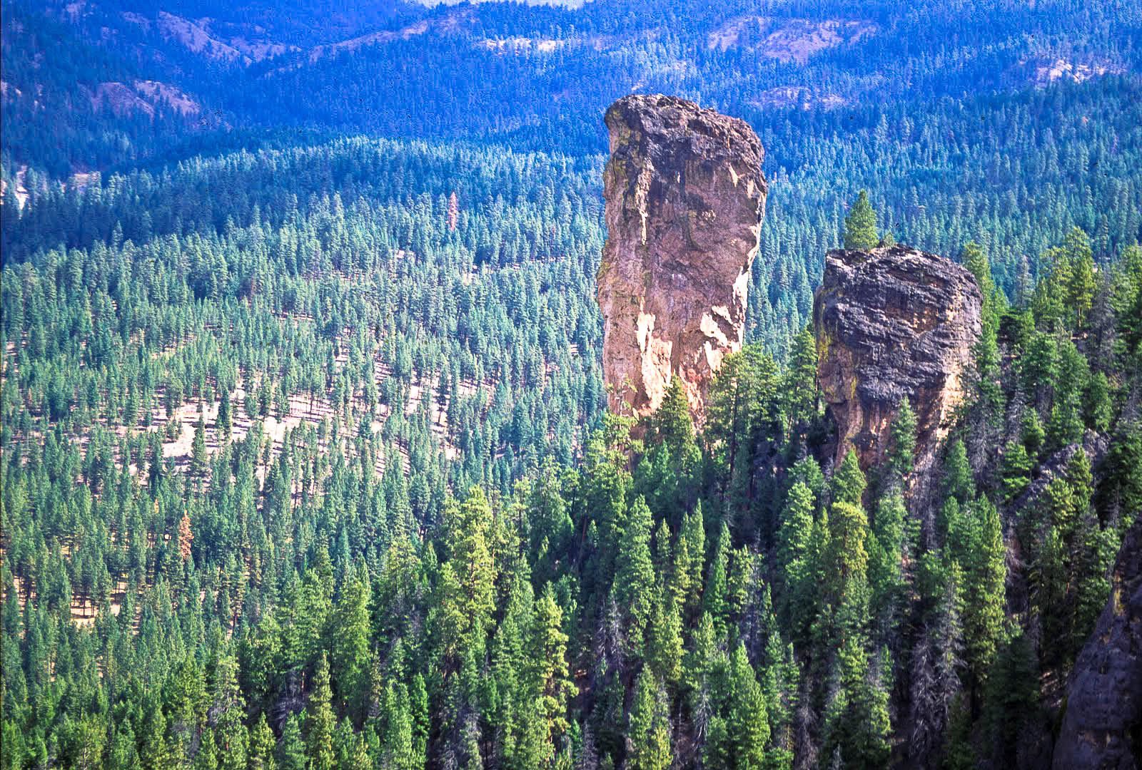 Агаты из новой локации в горах Ochoco, Орегон, США