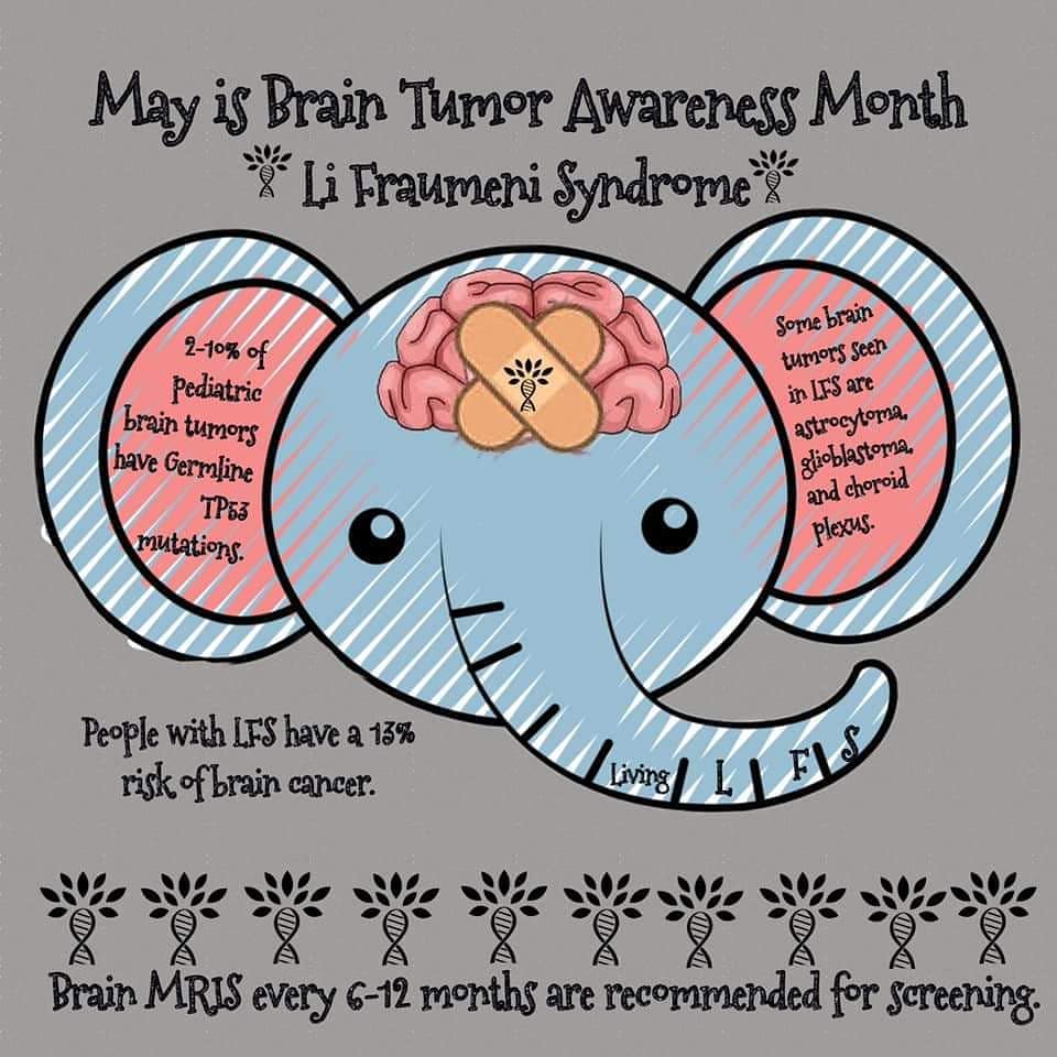 LivingLFS's tweet photo. May is #BrainTumorAwarenessMonth. People with #LiFraumeniSyndrome have an increased risk of developing #BrainCancer. Learn more: https://t.co/3mQz3604CD
#LFSawareness #LivingLFS #IAmLivingLFS #LiFraumeniSyndromeAwareness #LiFraumeni #LFSStrong #Glioblastoma #ChoroidPlexus https://t.co/yNePAJPlsn