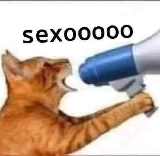 E0f7cB2WQAIjOGJ.jpg:large