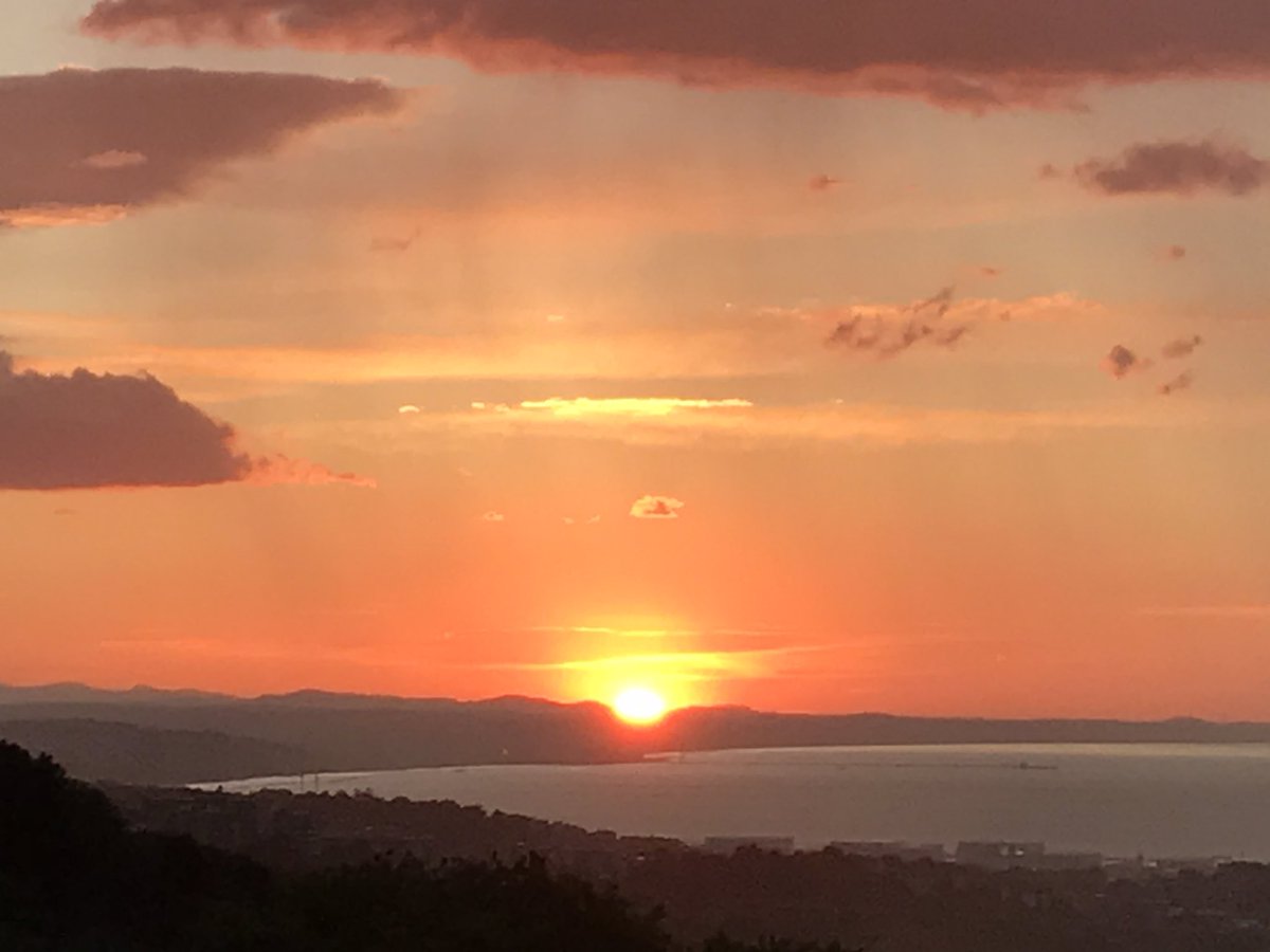 CourtesyDay's tweet image. Love is in the air