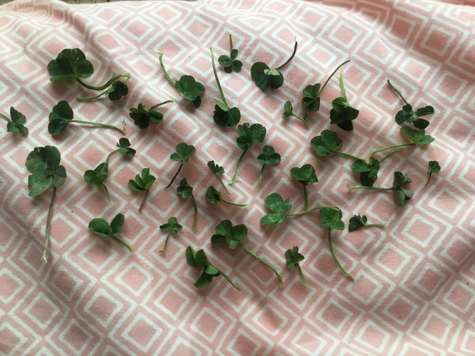 Infinite 高画質 のtwitterイラスト検索結果 古い順