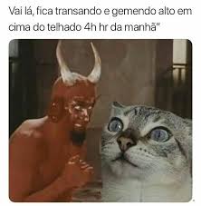profetadocapeta's tweet photo. https://t.co/3R2RykURPH