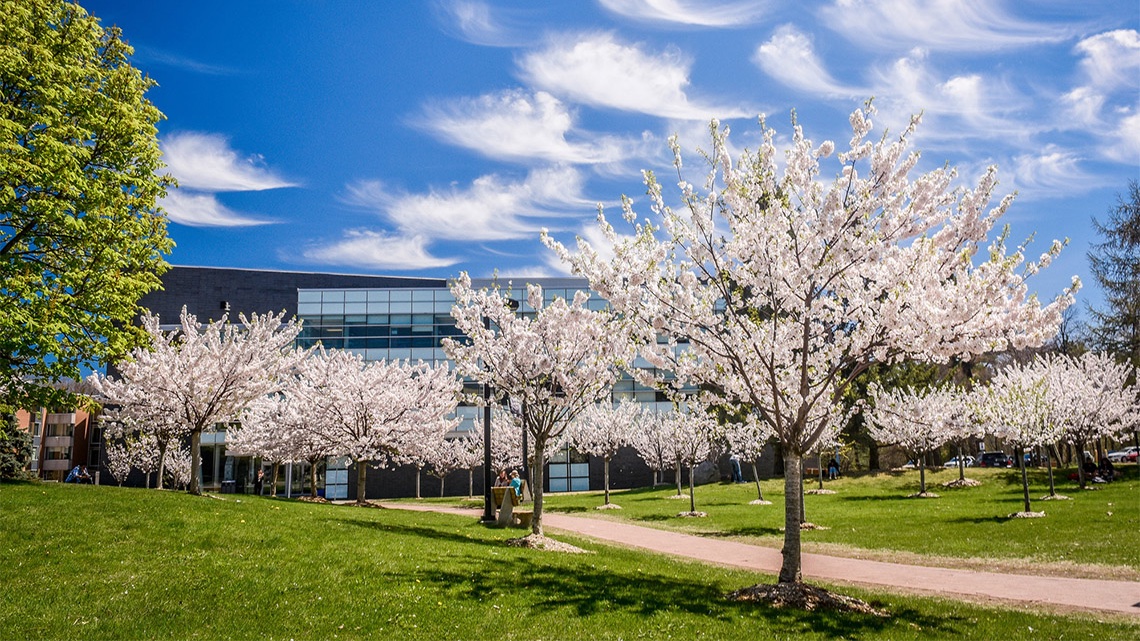 University of Toronto (@uoft) on Twitter photo #AsianHeritageMonth: Thousands support campaign to create <a href="/UTSC/">University of Toronto Scarborough</a> chair of Tamil studies #UofT 💙 uoft.me/6GS #AsianHeritageMonth: Thousands support campaign to create <a href="/UTSC/">University of Toronto Scarborough</a> chair of Tamil studies #UofT 💙 uoft.me/6GS