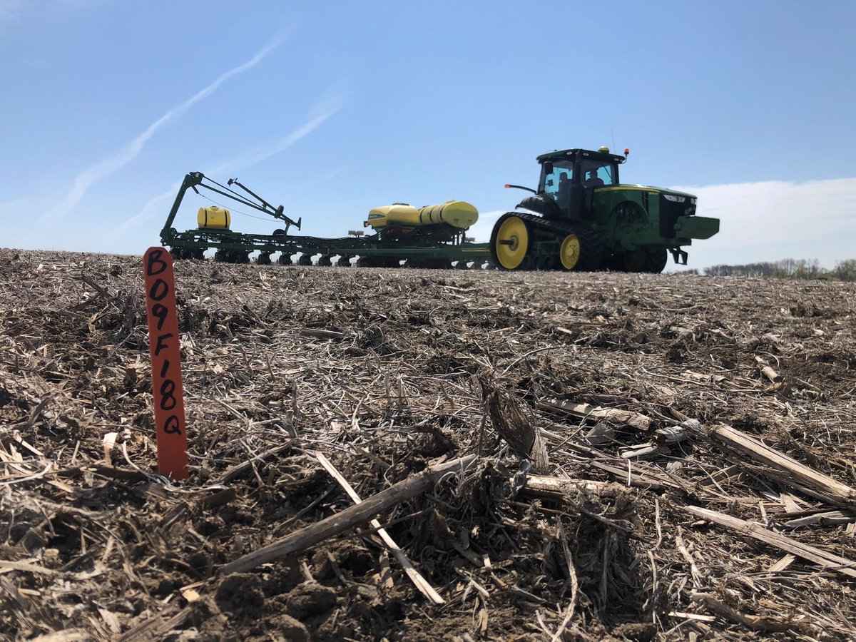 BrevantseedsUS's tweet photo. Ready to go bushel to bushel with anyone. #plant21 https://t.co/akpeTMwpXR