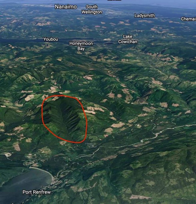 AnthonyBritneff's tweet image. Stella-Jones net income doubled in first quarter 2021 compared to same quarter 2020 financialpost.com/globe-newswire… #OldGrowth #blockades #injunction #FairyCreek  #forests #bcpoli #cdnpoli