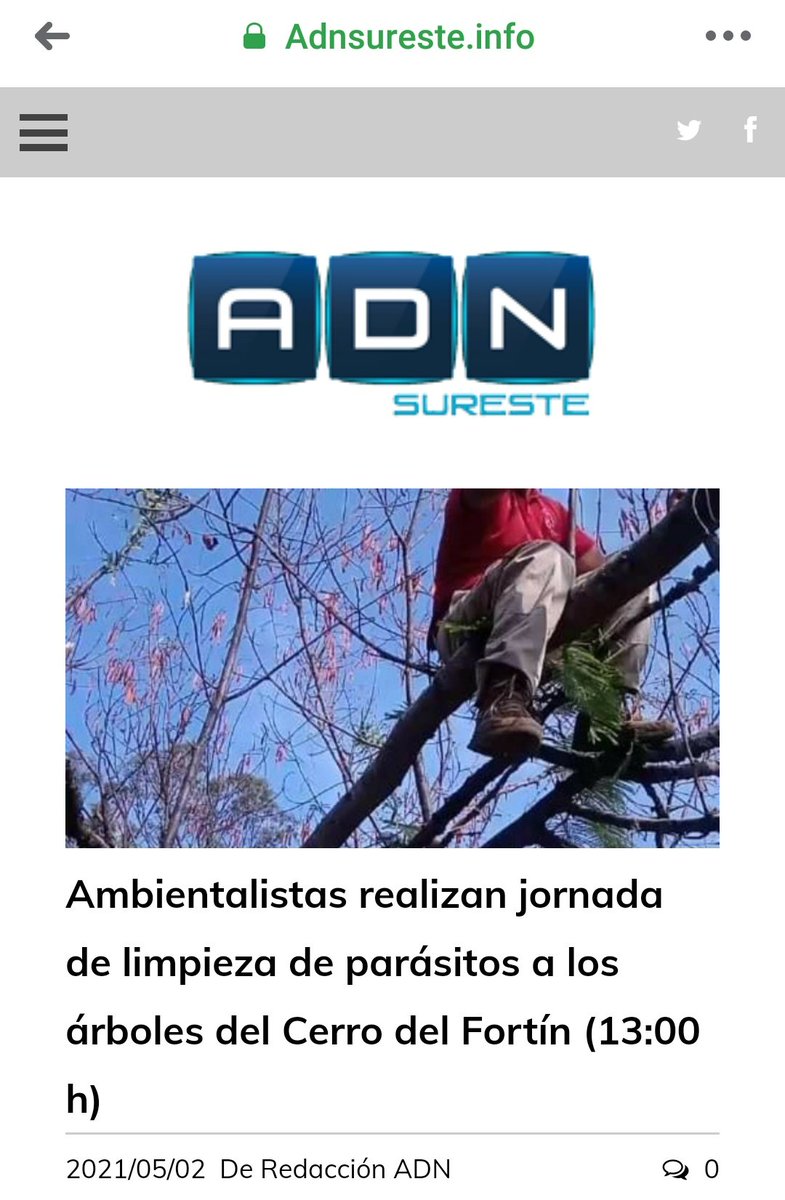 COAOAmbiental's tweet photo. Nota de @adn_sureste de la actividad #COAO en el #CerroDelFortín para remover residuos sólidos y #muérdago.

Voluntarios, #BrigadaAlfa, Colectivo El Planeta y yo, Jaqueline Escamilla, #COMVIVEXochimilco, Ricardo Leyva, @gsvoax y @PeatonVigilante https://t.co/hE652BOOm1