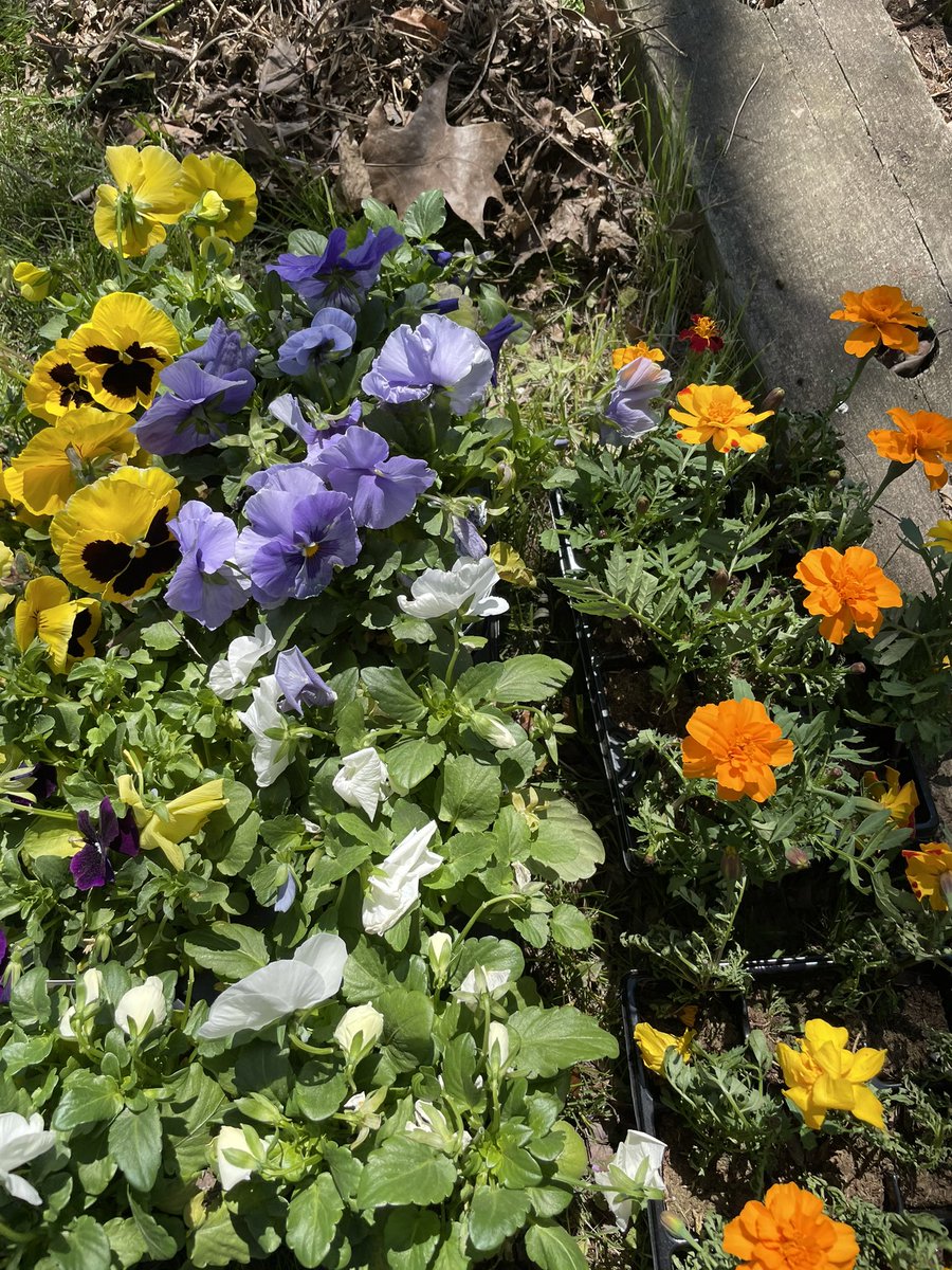 HUGE thank you to <a href="/JerseyCityLowes/">Jersey City</a> for their donation of mulch, gloves, and plants to help us beautify Camp Liberty for the summer!!