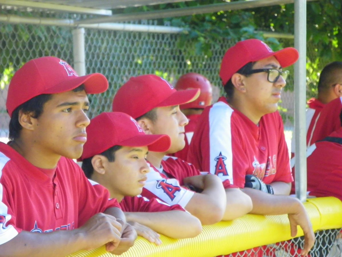 "You know your talent. You know if you work hard, your hard work is going to pay off one day." - Albert Pujols 💪⚾ #MondayMotivation #Angelsrbi #MLBRBI #Inspiration