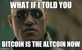 icsterm's tweet photo. @realcryptoface https://t.co/hgEUxTYIRM
