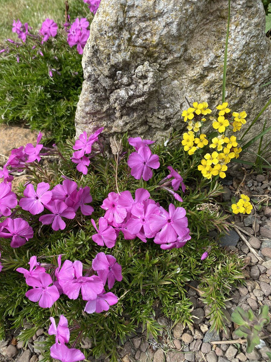 We love living on the farm and we’re pretty sure you’d love working here too! Get in touch if you are looking for office space. #eastlothian