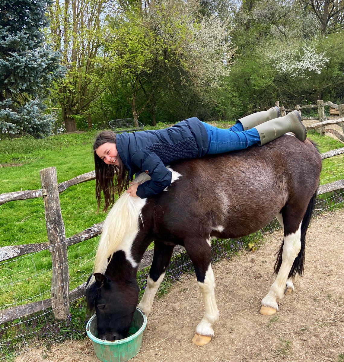 KerrieGibbons's tweet photo. Poor old DelBoy... he just wanted to eat his dinner in peace! #ponygirl #delboy #firstpony https://t.co/zYJgVVsvWB