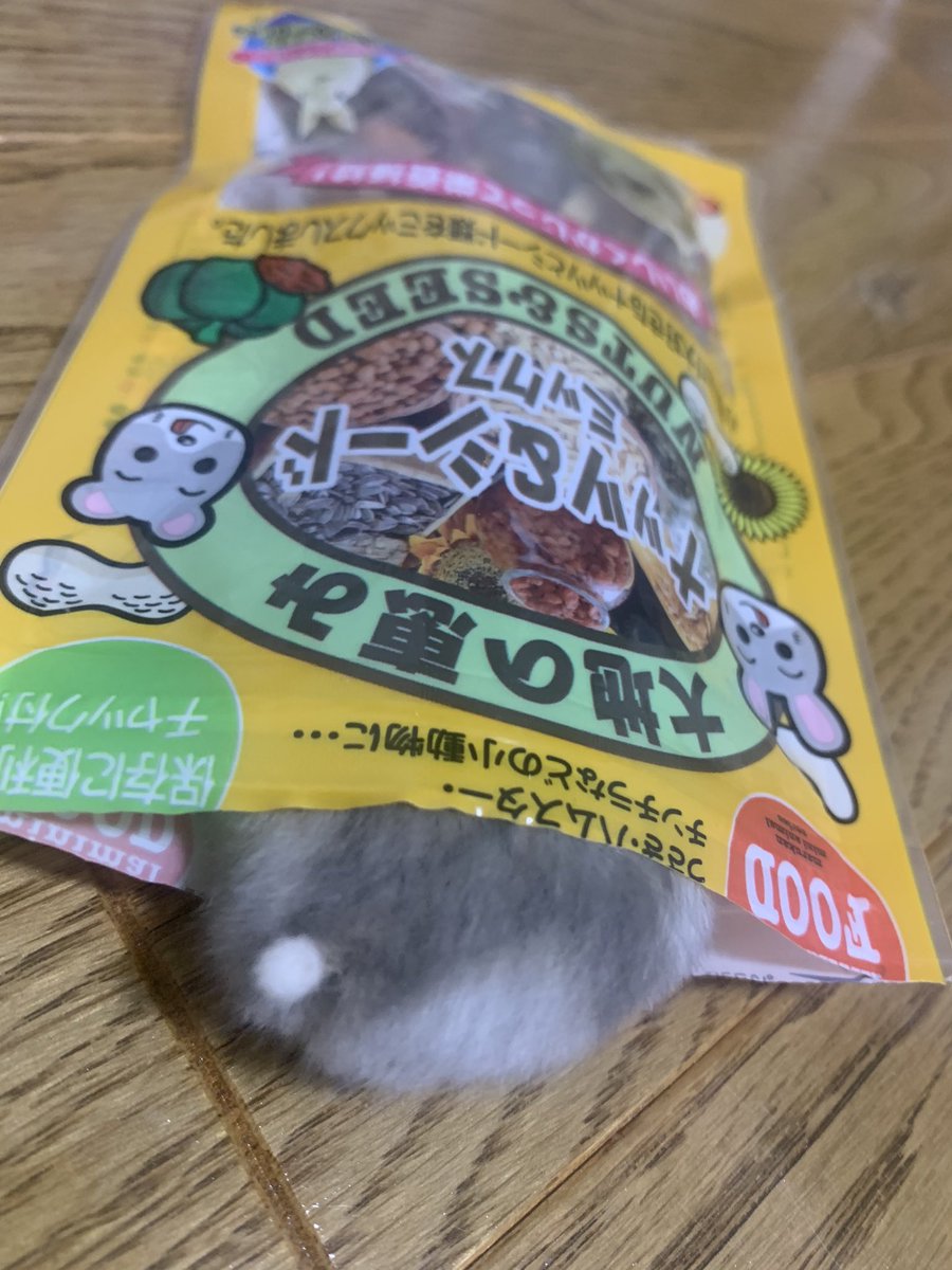maripikachu_'s tweet photo. @hade_steam 長毛珍しいしかわいいね♡
わたしもおハム今年の1月から飼い始めたんだー(   ¯꒳¯ )✨

しっぽが特に好き☺️ https://t.co/hT0x8mHVcd