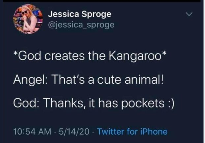 mamabear_tx's tweet photo. @KarenKilgariff Thought of you! https://t.co/sun8QW5ojf