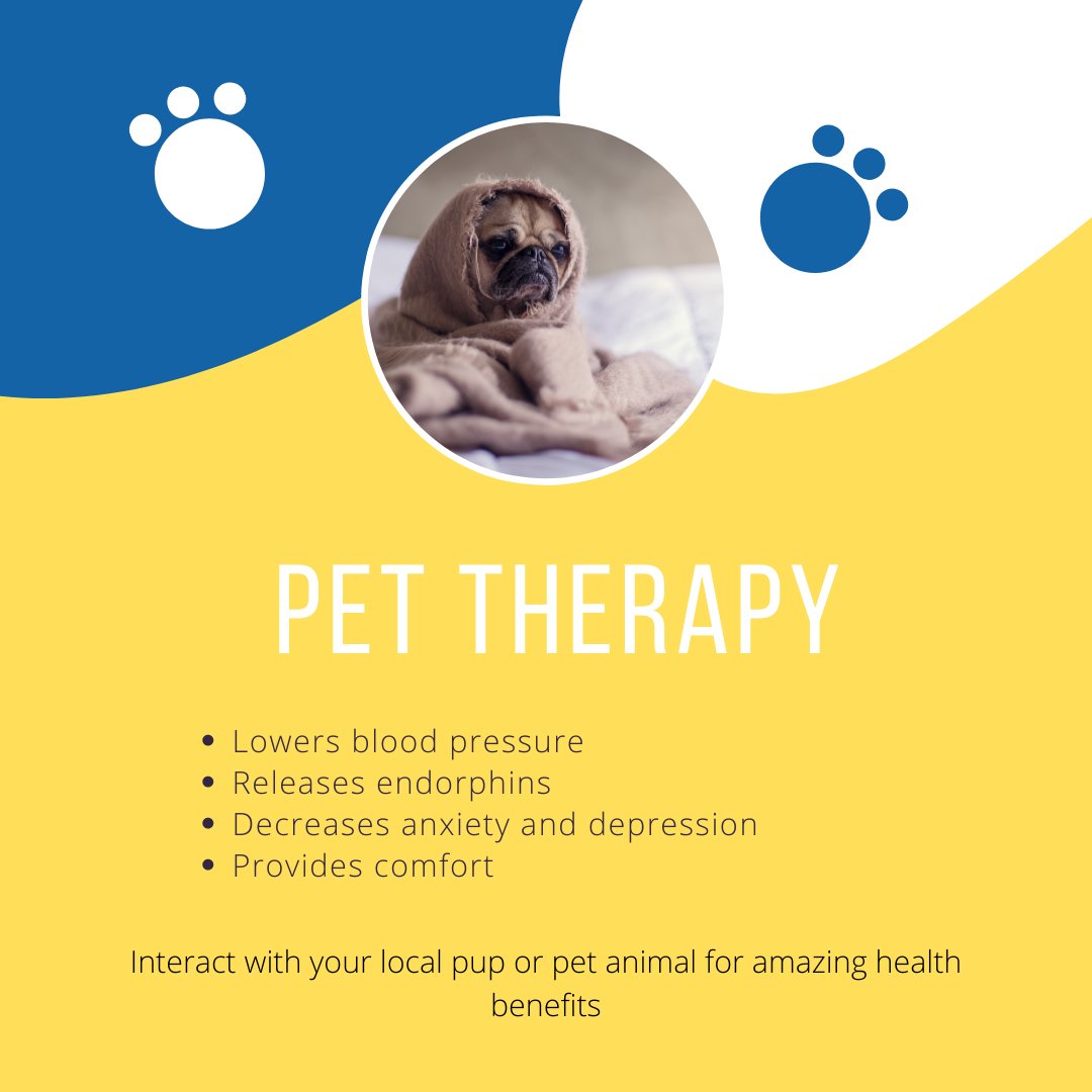 Research has shown that interacting with a pet can improve physical and mental health among patients. Pet therapy has tremendous benefits. Check out some of the benefits in the post. #anticancerchallenge