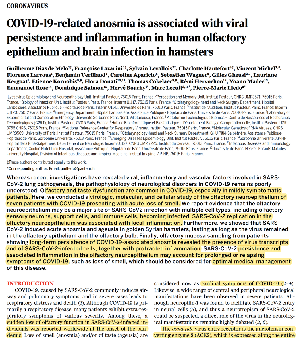 EricTopol's tweet photo. Prolonged covid-induced loss of smell may relate to persistent viral infection https://t.co/m8A2pUC61a @ScienceTM https://t.co/k1Gqk7ImT4