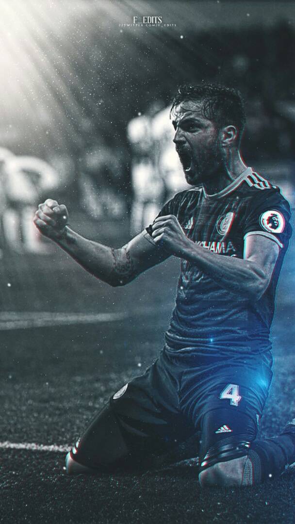 Happy birthday CESC Fabregas   Magician 

4th May 