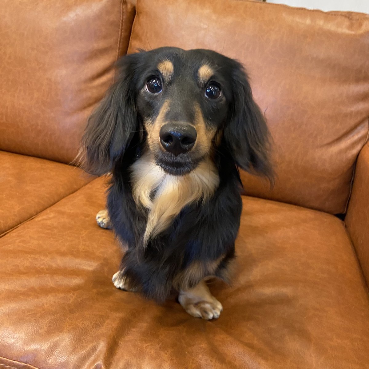 T&amp;Dちゃん♪ 昨日のご様子です♪