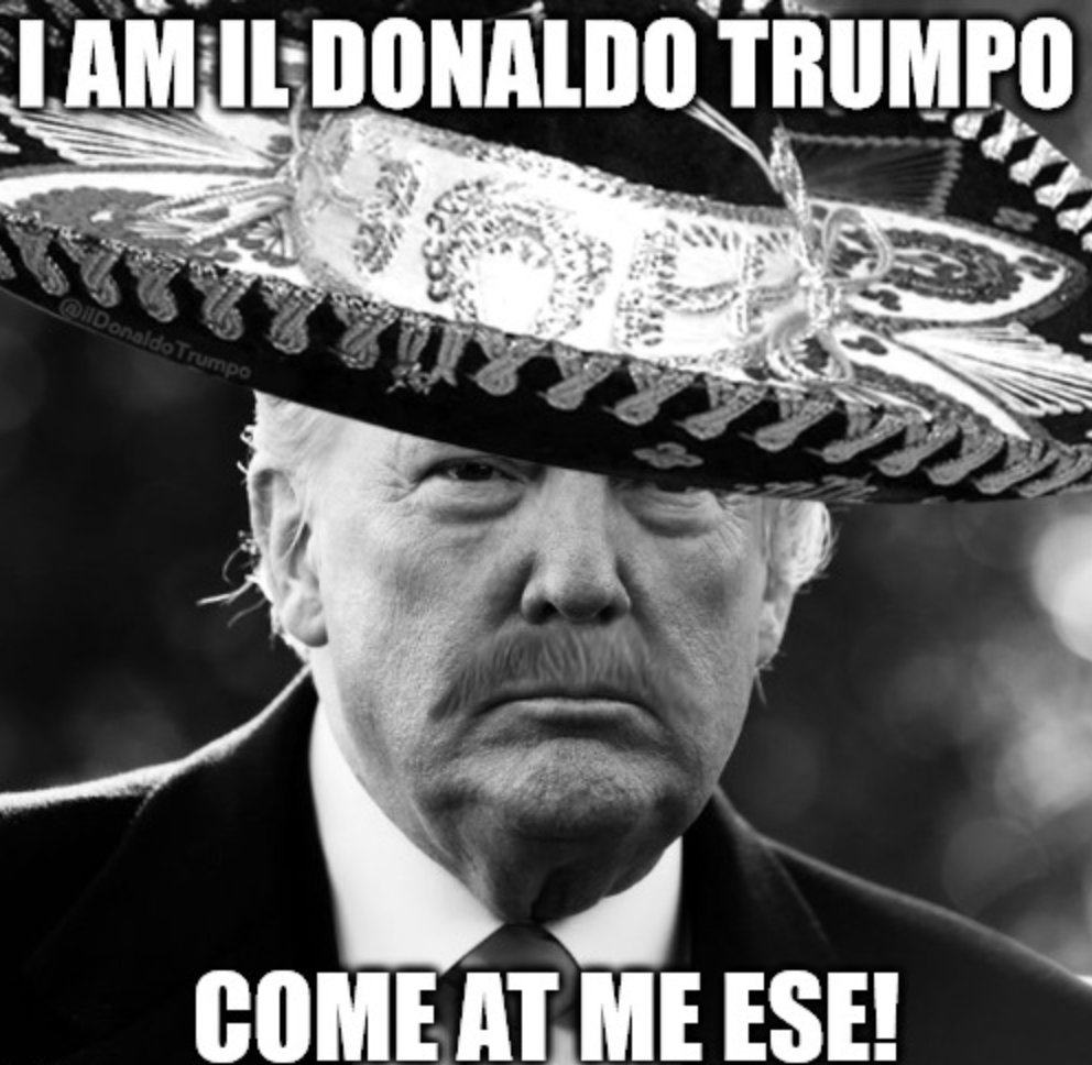 IlDonDeTrumpo tweet media