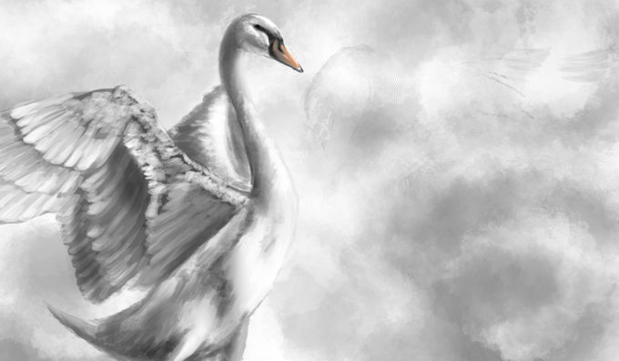 白鳥のtwitterイラスト検索結果