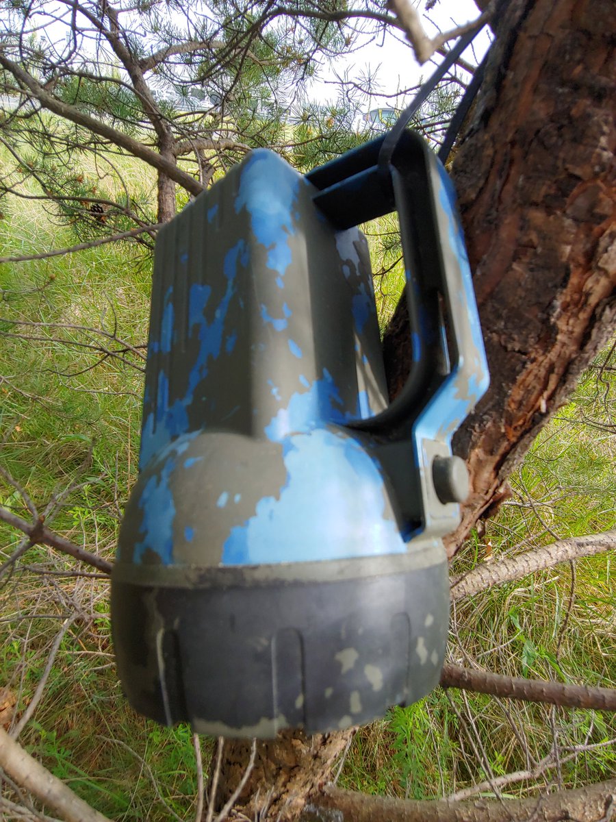 ForwardOnPlants's tweet photo. Blue Switch Day was yesterday, got me a blue light special today. #geocaching #blueswitchday https://t.co/7GSyNZNiIC