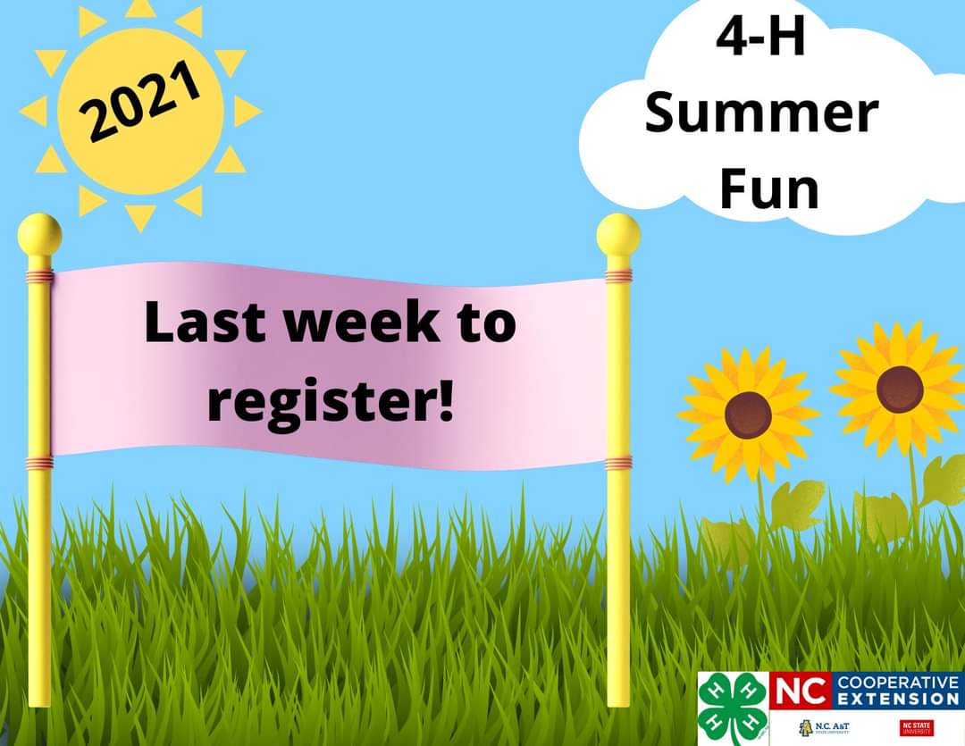 LHAllen86's tweet photo. Rowan County 4-H still has openings for most 4-H Summer Fun classes and kits. Registration is due THIS FRIDAY, May 7. All details at https://t.co/ouvcyUokCH. #Rowan4H #summerlearning https://t.co/Ke2yV5FRcE