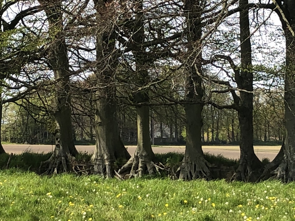 MuriloVeloso7's tweet photo. How about a class in a farm of the 12th century that are still active and that serves as a model for many agroforestry system used nowadays? This is the old knowledges being used as low-techs that can help us to face the current problems, valorising the local culture. https://t.co/pveArYoiR9