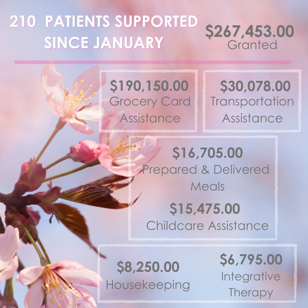 Since January, Ellie Fund has been able to support 210 breast cancer patients and their families.

Thank you to all of our donors who have helped made a difference in our patients lives.

#EllieFund #SupportingPatients #BreastCancerSupport #25Years #BreastCancerOrganization