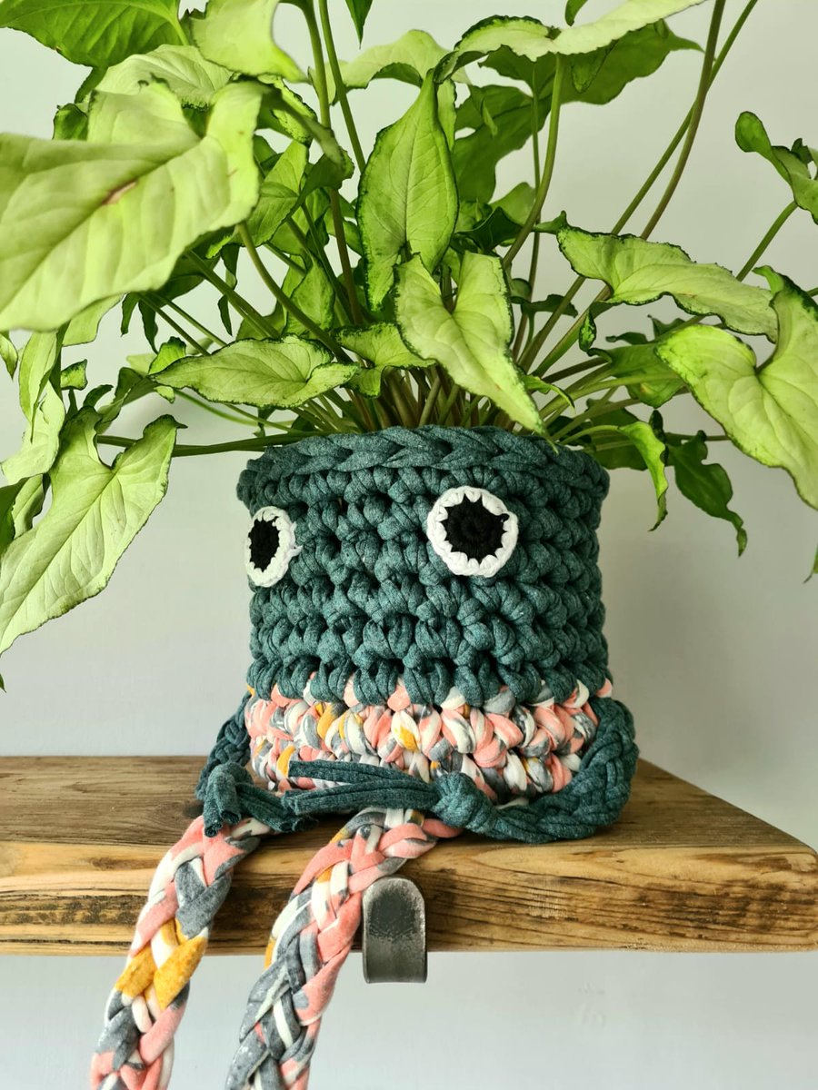 Give your plant a little pal🌵🪴 instagram.com/nowaycrochet1?…

#crochetaddict #noplanetb #wastetextiles #etsyfind #smallbusiness #houseplants #plantlover #plants #homeware #houseinspo #gift #crochet #etsyuk #RetweeetPlease