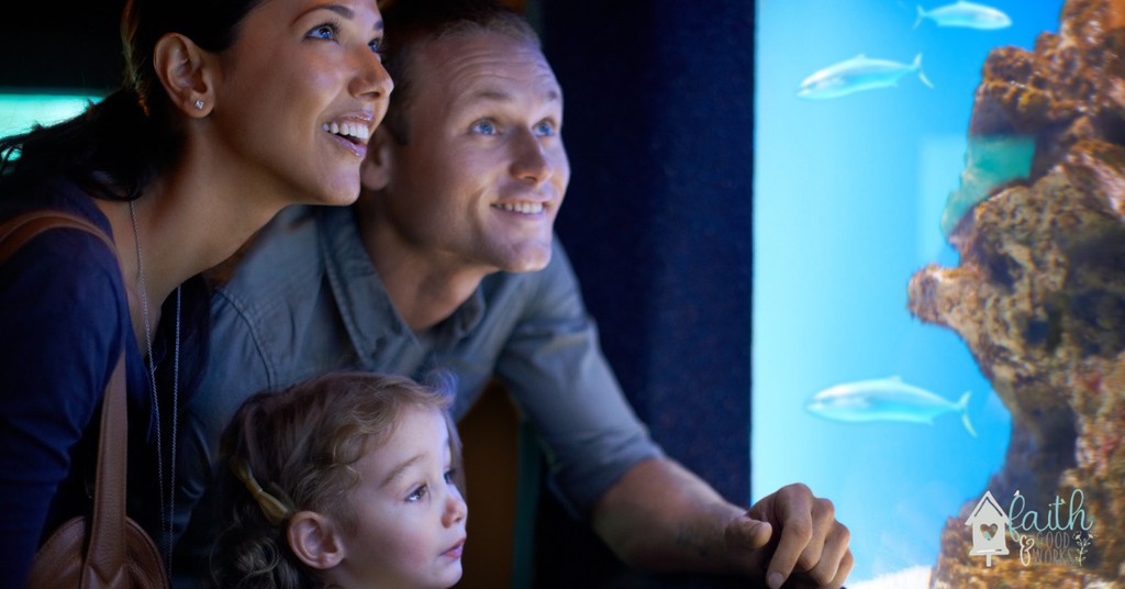 Unit studies are also the go to for kids who have learning disabilities.

Read more 👉 lttr.ai/gUP8

#Homeschool #Homeschoolfamily #Homeschooltips #Freehomeschoolunitstudies #Homeschoolunitstudies