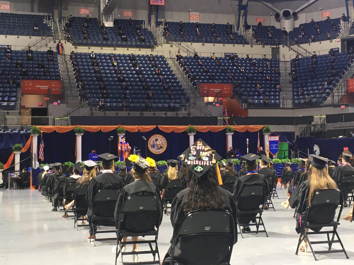 Tracy Scheffler tweet media