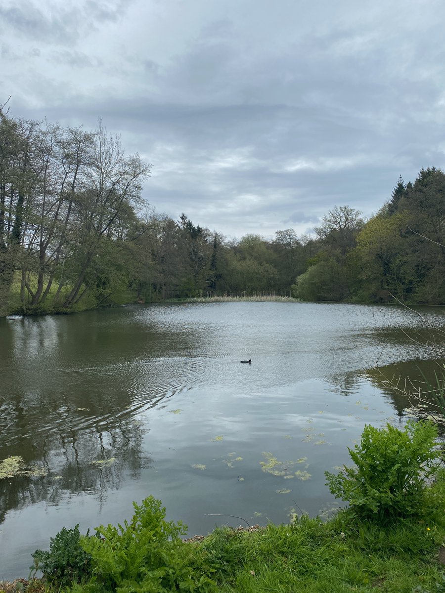 Mike McCarthy tweet media