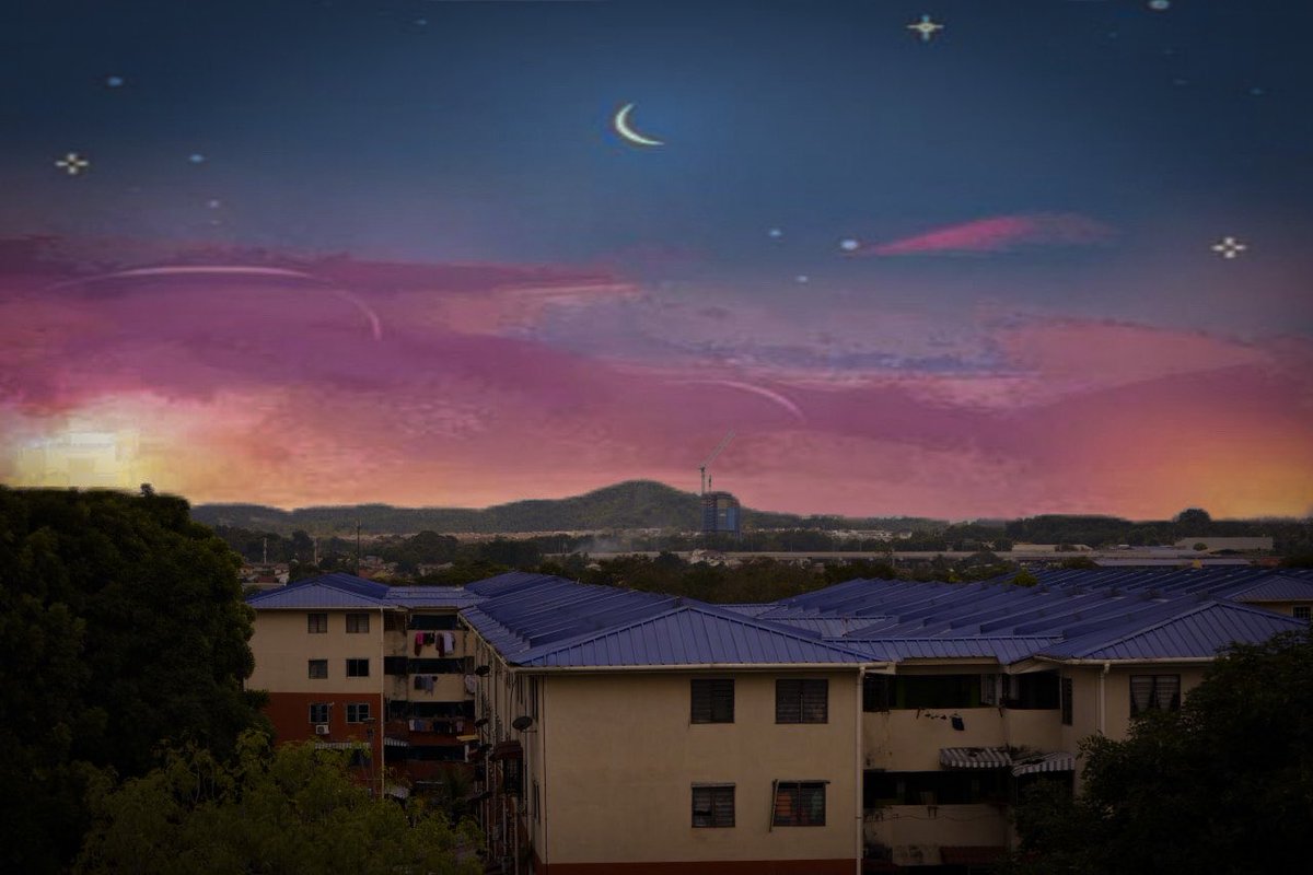 anime view