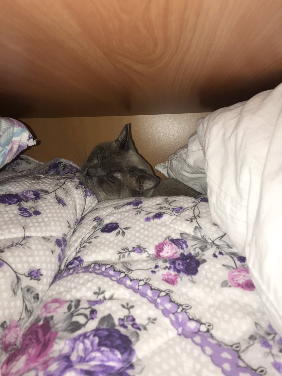 Ağlayarak aramama değdi mi