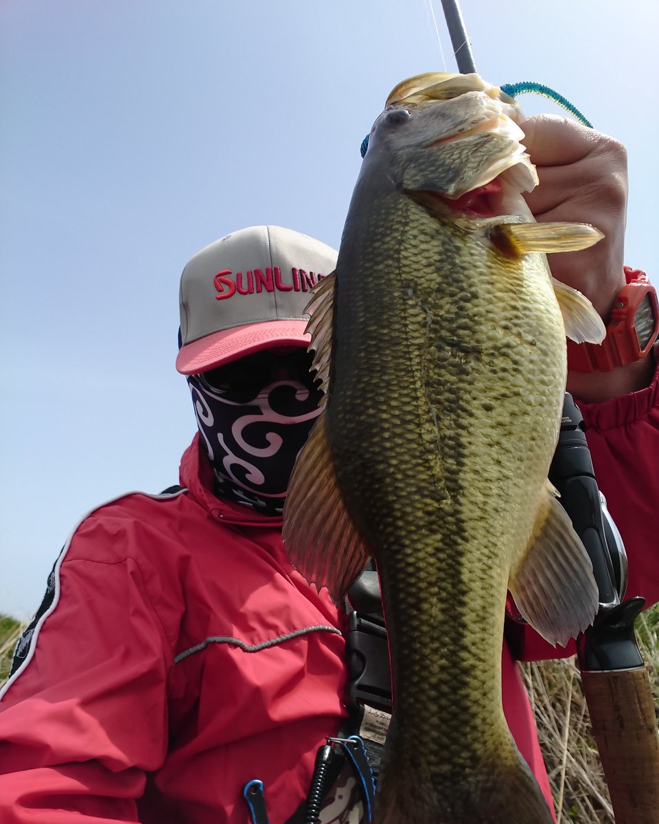 K Yasuhiro やっさん A Twitter 21 5 4 ホームにて初フィッシング 初バスget 気持ちが楽になりました 青森 つがる市 メロンロード バスフィッシング 初バス フリーリグ