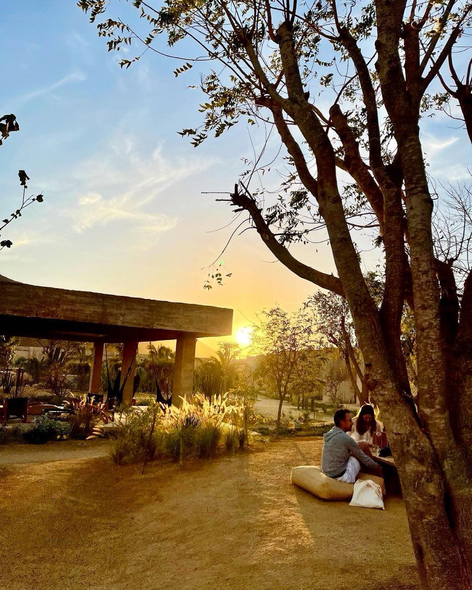 Paradero ultimately is a place of love. A love for the culture of Todos Santos, a love for the five ecosystems that surround us, a love for the craft of farm-to-table fine dining, and most importantly a love for all the amazing people we get to meet each week. 

📸: @hope2832