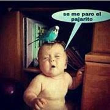 MolinodeRosasDF's tweet image. Hoy 3 de Mayo es día de La Santa Cruz
Y también de memes antiguos....