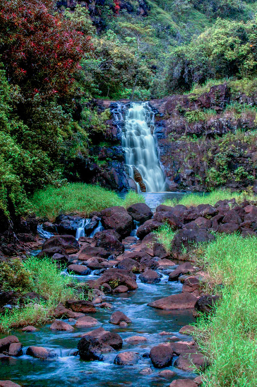 s_westerly's tweet image. Some days you simply Go With the Flow ~
45-foot Waterfall cascades into Kamananui Stream in Waimea Valley Botanical Gardens

#Waterfall #Kamananui #Stream #Waimea #Valley #BotanicalGarden #NorthShore #Oahu #Hawaii #ThePhotoHour #TwitterNatureCommunity #NaturePhotography #Photos