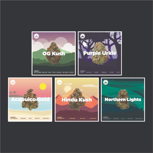 CCannabinoid's tweet photo. Still experiencing issues with @opensea related to the collection image display for our complete sets, but rest assured they contain 5 (SE) or 6 (LE) #NFTs 

https://t.co/XT1BOQ1G68

#NFT #NFTCommunity #NFTartist #nftcollectors #NFTARTFinance  #NFTsale #DeFi #cryptocurrency https://t.co/Sjwaka4nsH