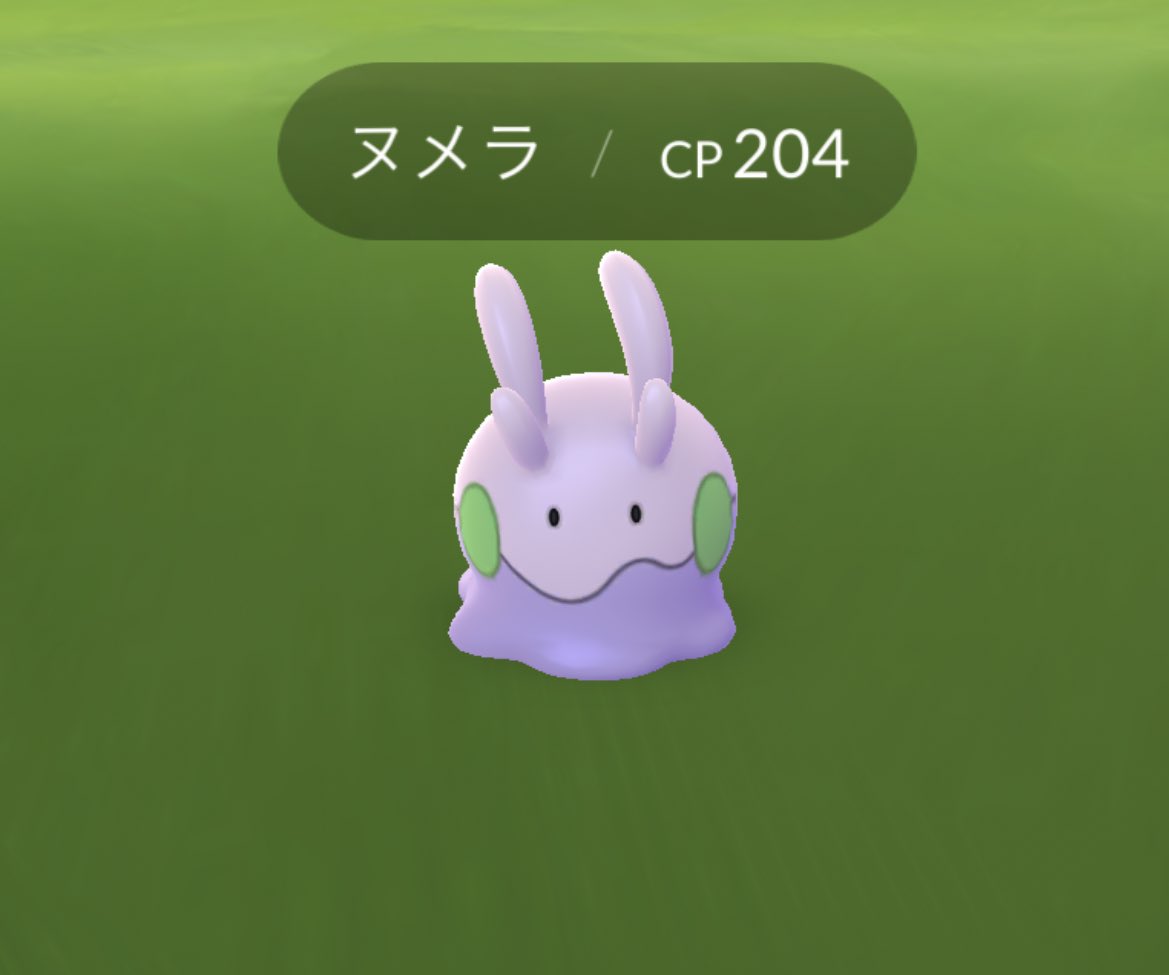 ヌメラ ヌメラ