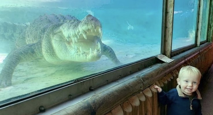GatorsDaily's tweet photo. Intrusive thoughts:            Me: https://t.co/T9kRh6Y9l7